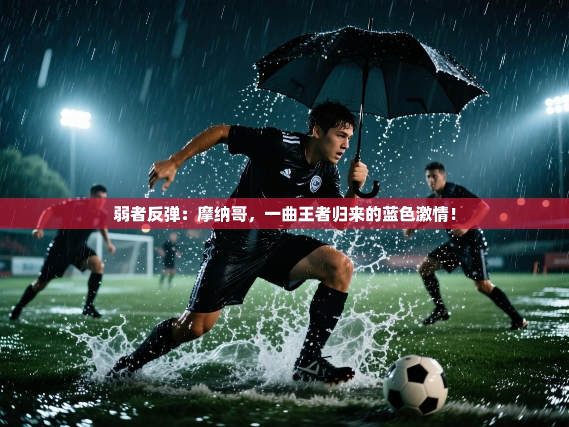 弱者反弹：摩纳哥，一曲王者归来的蓝色激情！  第2张